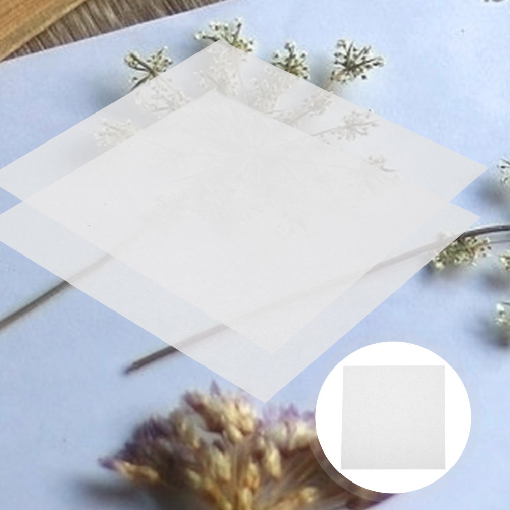 10Pcs Assorted Color Reusable Blotting Paper for DIY Flower and Leaf Pressing