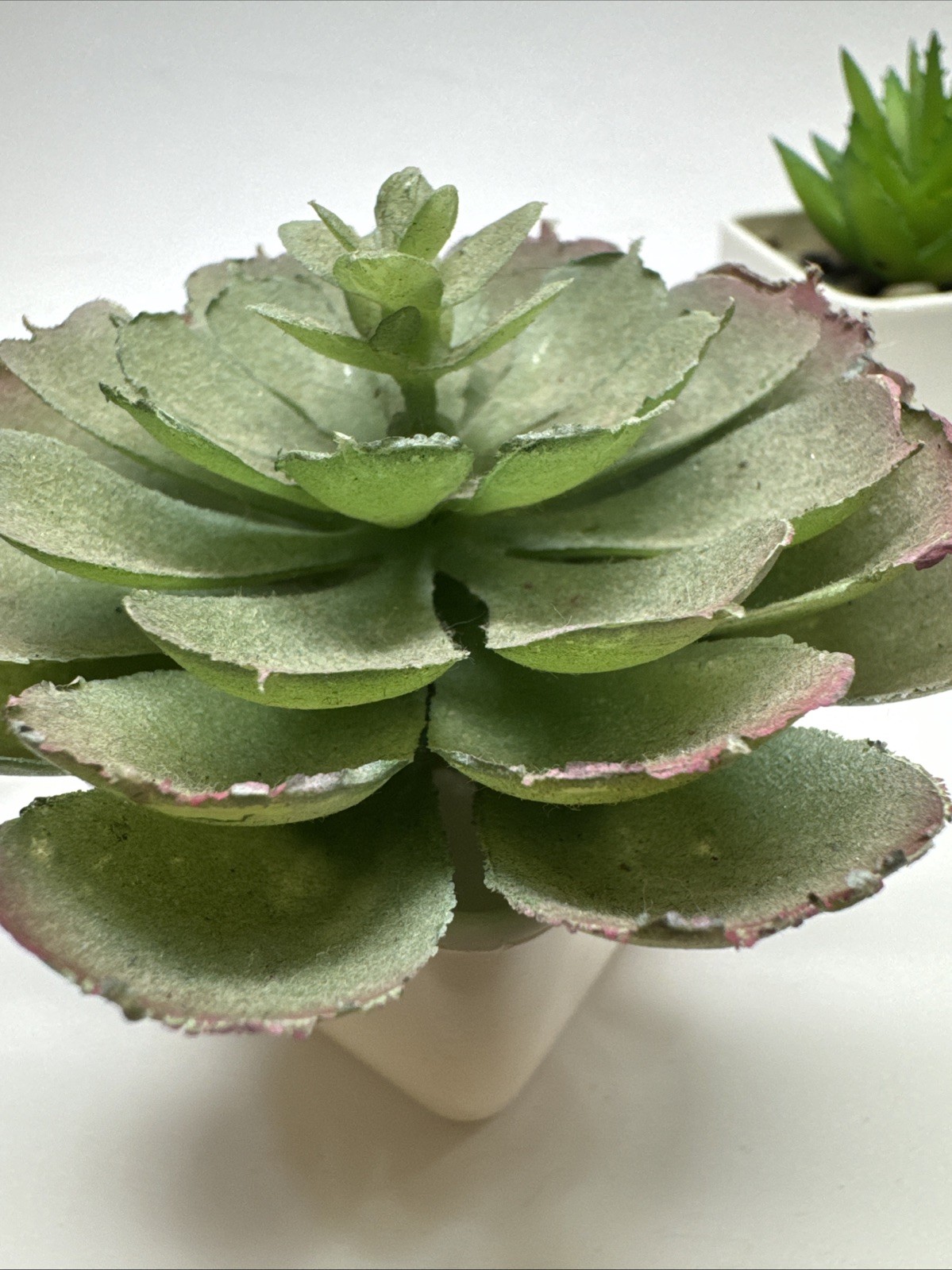 Gift Set of 5 Mini Artificial Succulent Plants in Square White Plastic Pots