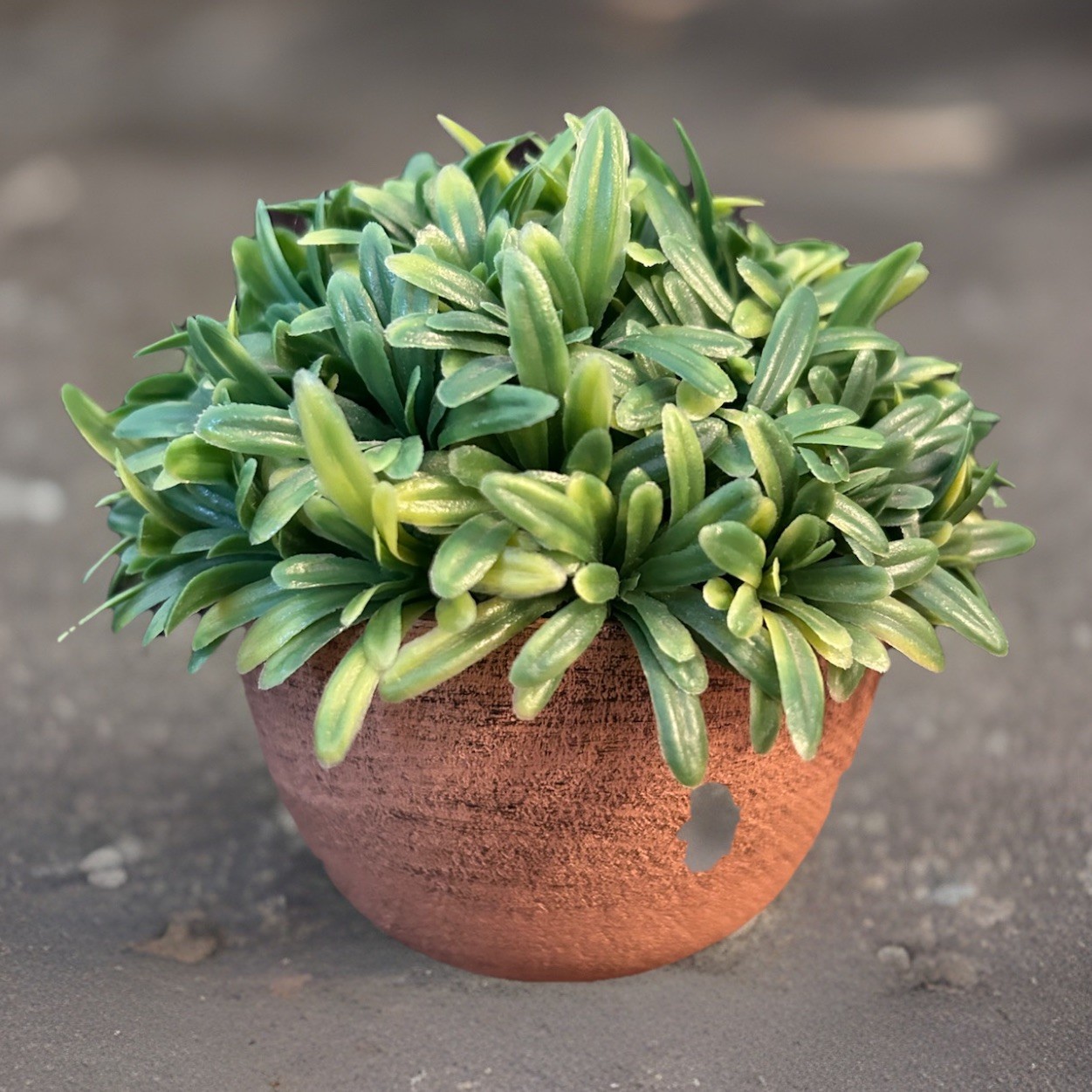 Artificial Rosemary Plant In A Terracotta-Style Pot “Rosemary In Orange Bowl”