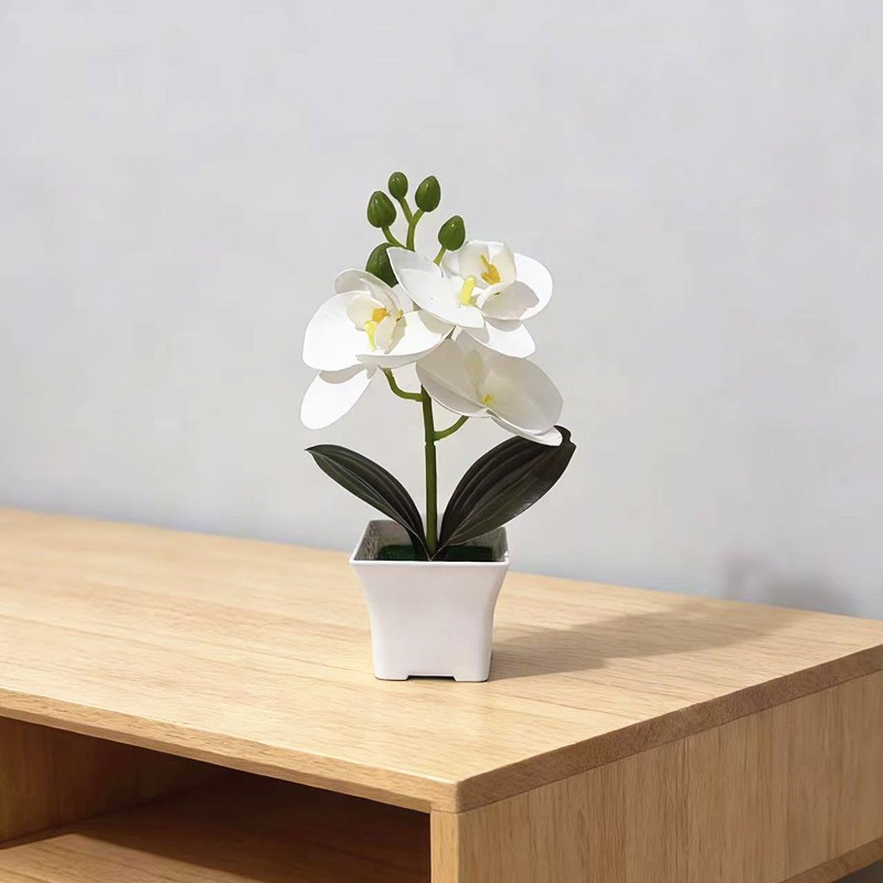 Compact Artificial Phalaenopsis Orchid Arrangement 19cm Tall Shelf Table Decor