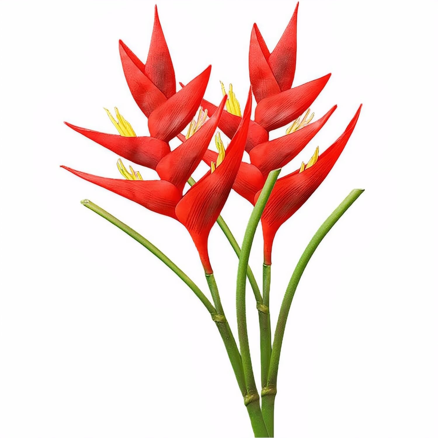 2pcs Artificial Heliconia 33.5″ Faux Bird of Paradise Fake Tropical Flowers f…