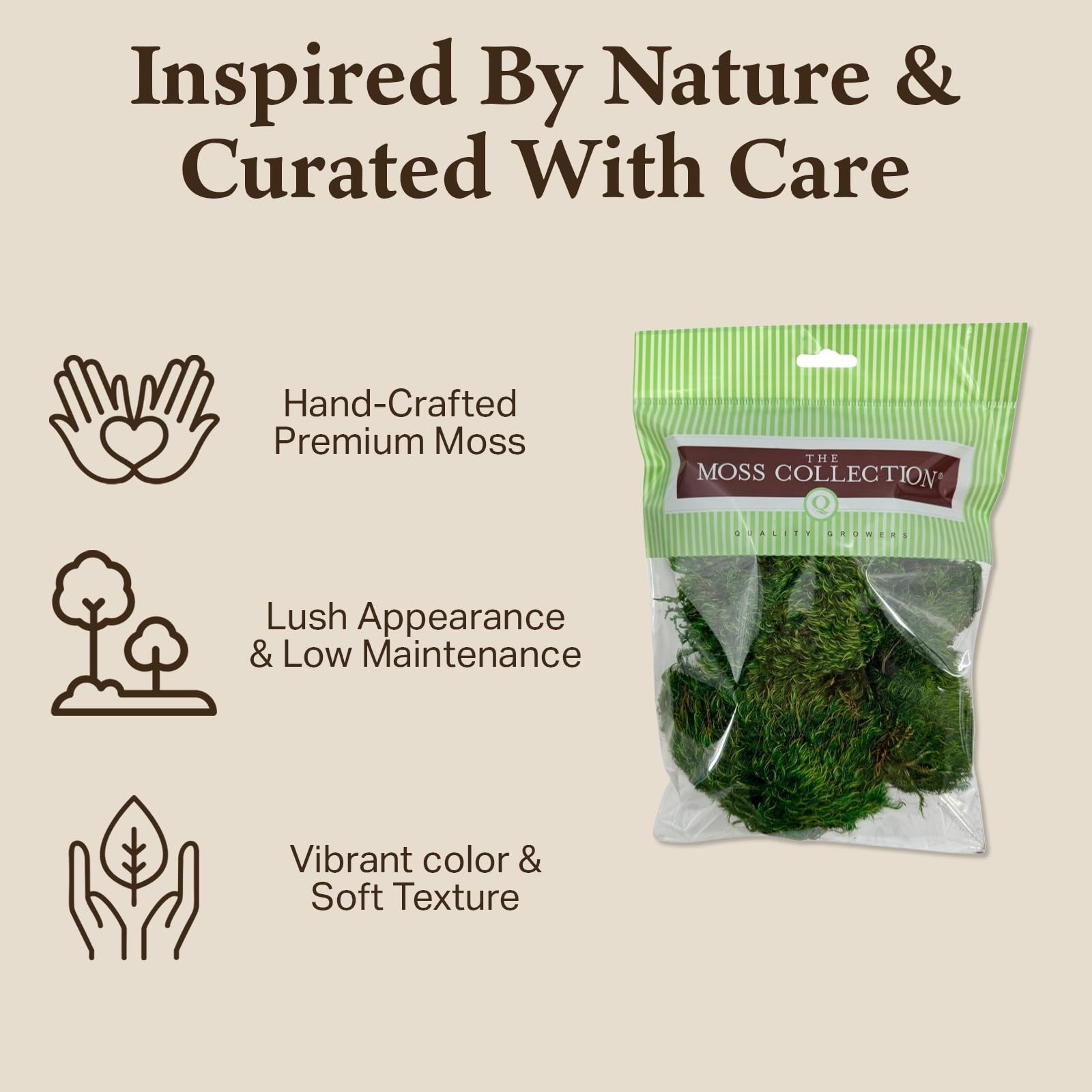 Quality Growers – Preserved Mood Moss – Decorative Moss – Dried Moss for Craf…