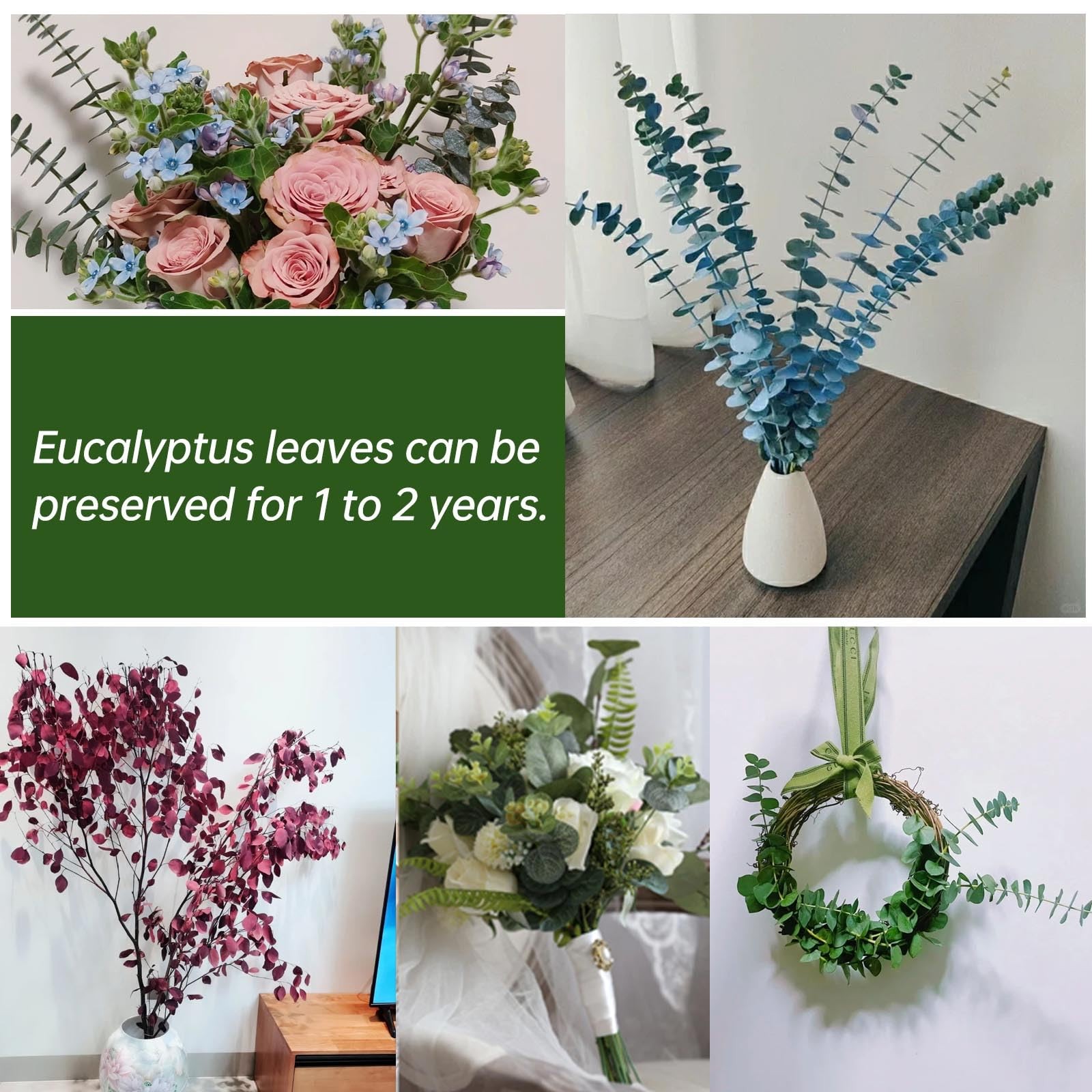 20 Pcs Dried Eucalyptus Stems, 17” Natural Real Live Greenery Eucalyptus Lea…