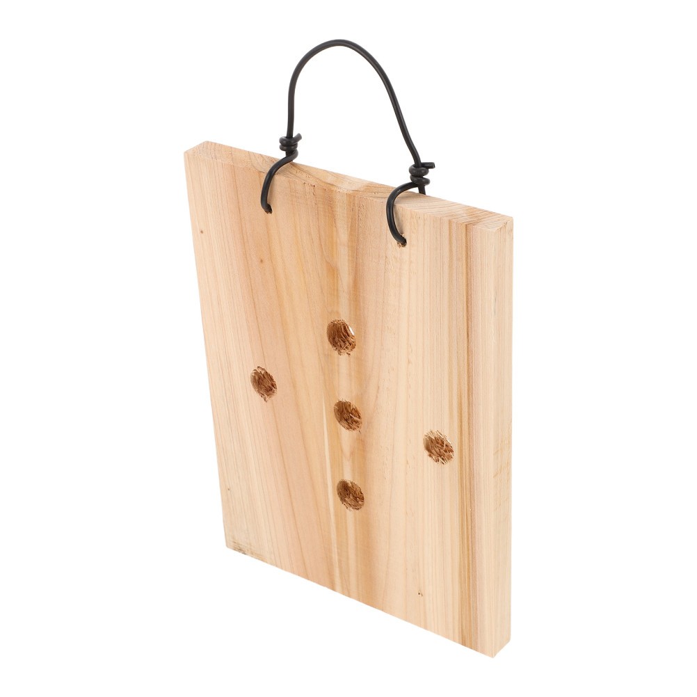 Solid Wood Wall Hanging Plant Board Decorative Fern Mount Planting