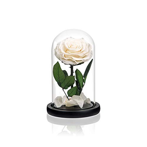 Preserved White Rose in Glass Dome Wooden Base Forever Flowers Gift for Her
