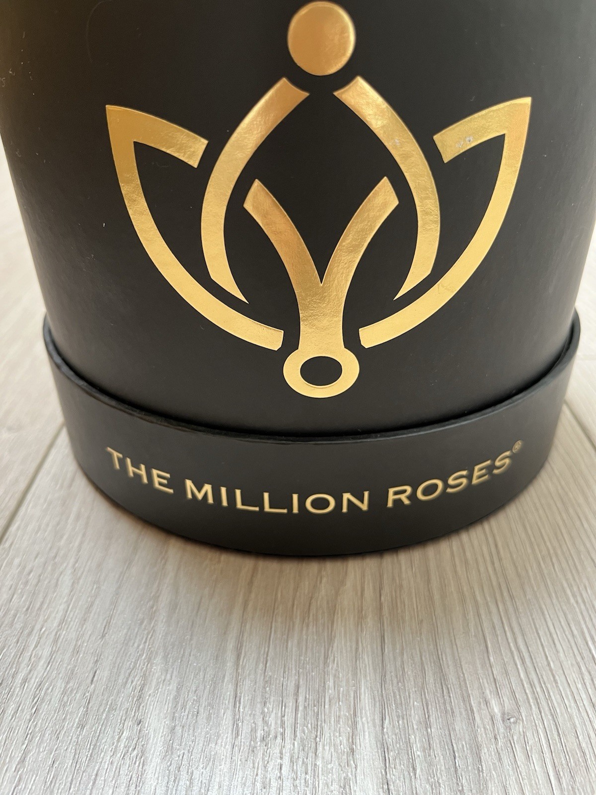 The Million roses, Peach Rose – Black Box. Retail $389 LONG-LASTING FLOWERS
