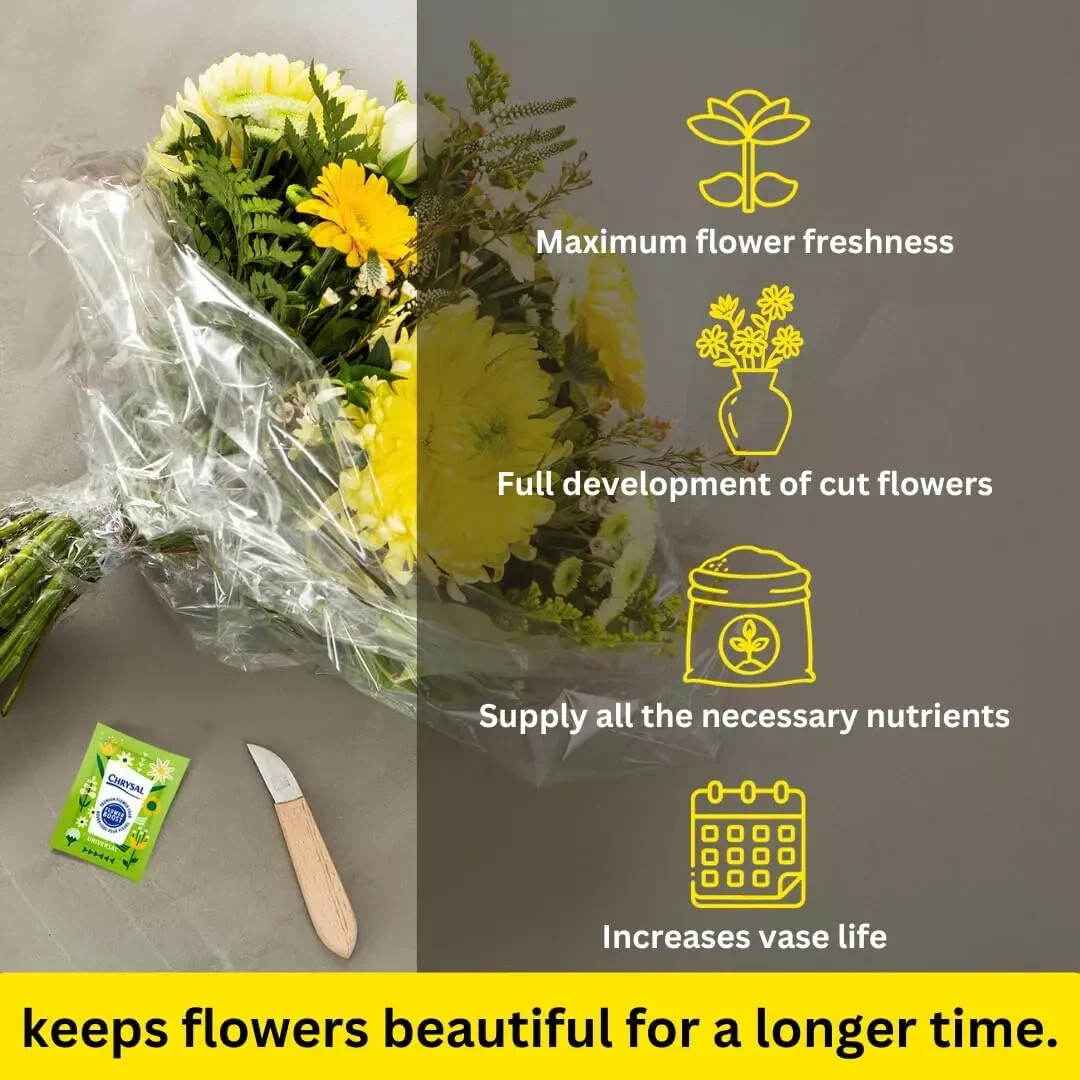 200 Chrysal Flower Boost Clear Flower Food Packets for Arrangements, Vases 5gr