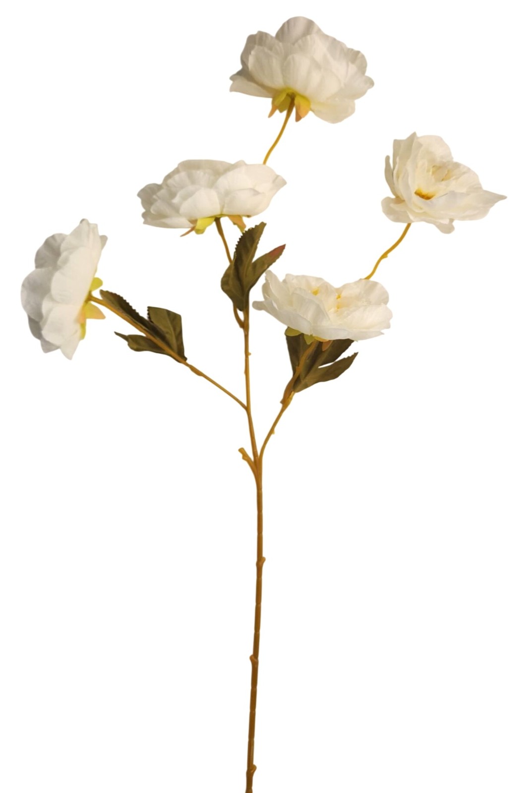 Cream Ranunculus Stems, Faux Ranunculus Flowers, Artificial Flowers, Ivory Flora