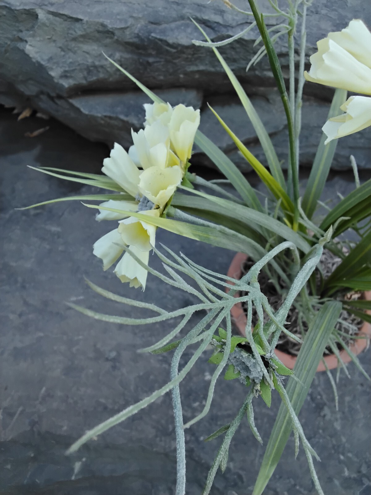 Faux Yellow Spring Flower Plant in Terra Cotta Pot, Daisy, Toplis