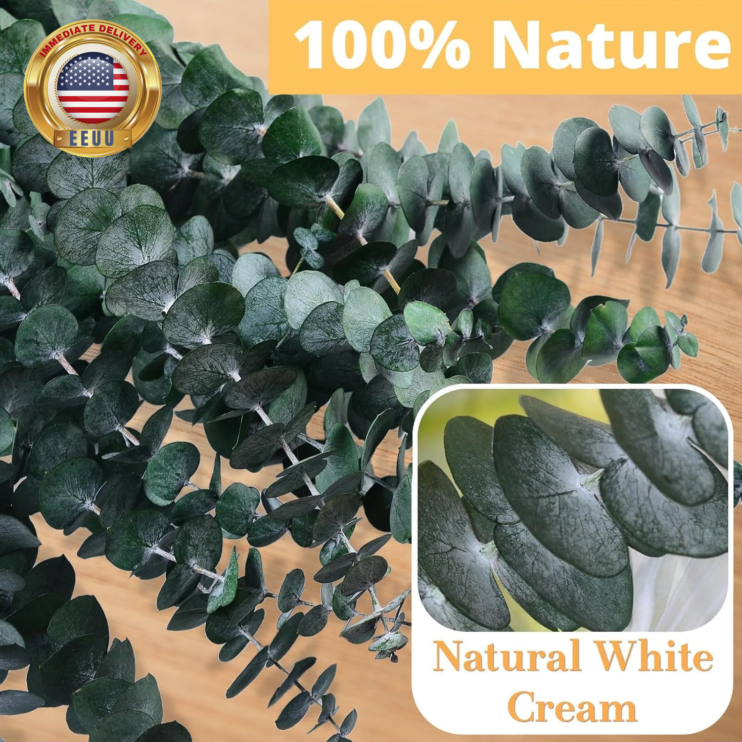 12PCS Dried Eucalyptus for Shower Hanging – 17” Real Large Preserved Eucalyptus