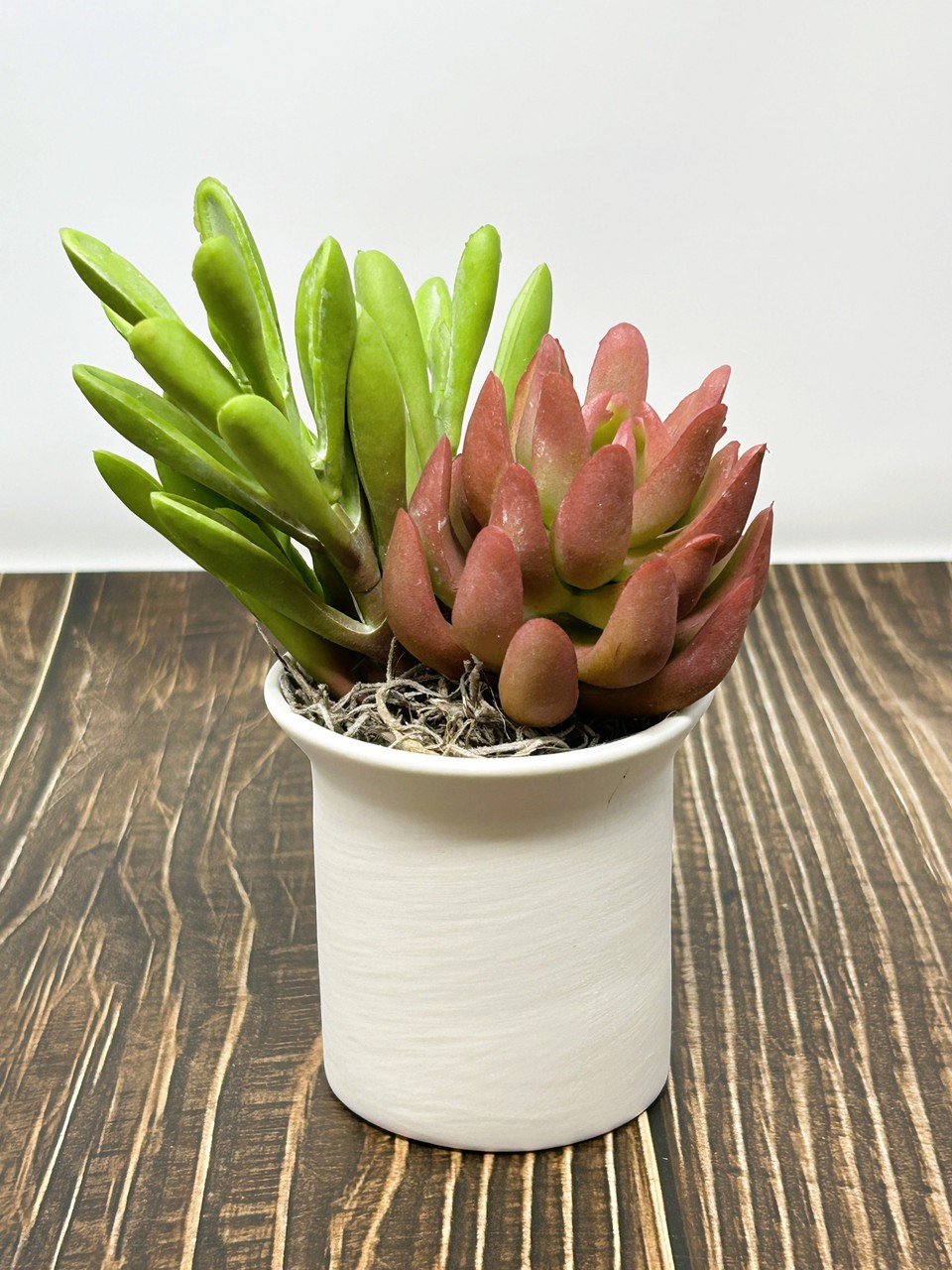 6″ Artificial mixed Pink & Green Succulent Garden #25, White Ceramic Pot Planter