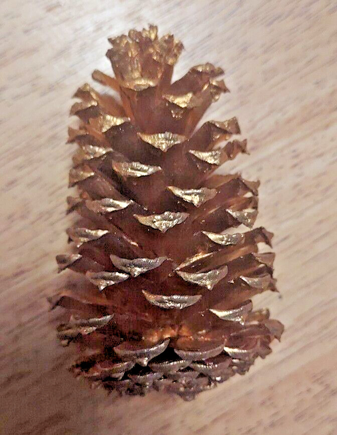 🎅15 Gold Painted Natural Pinecones
