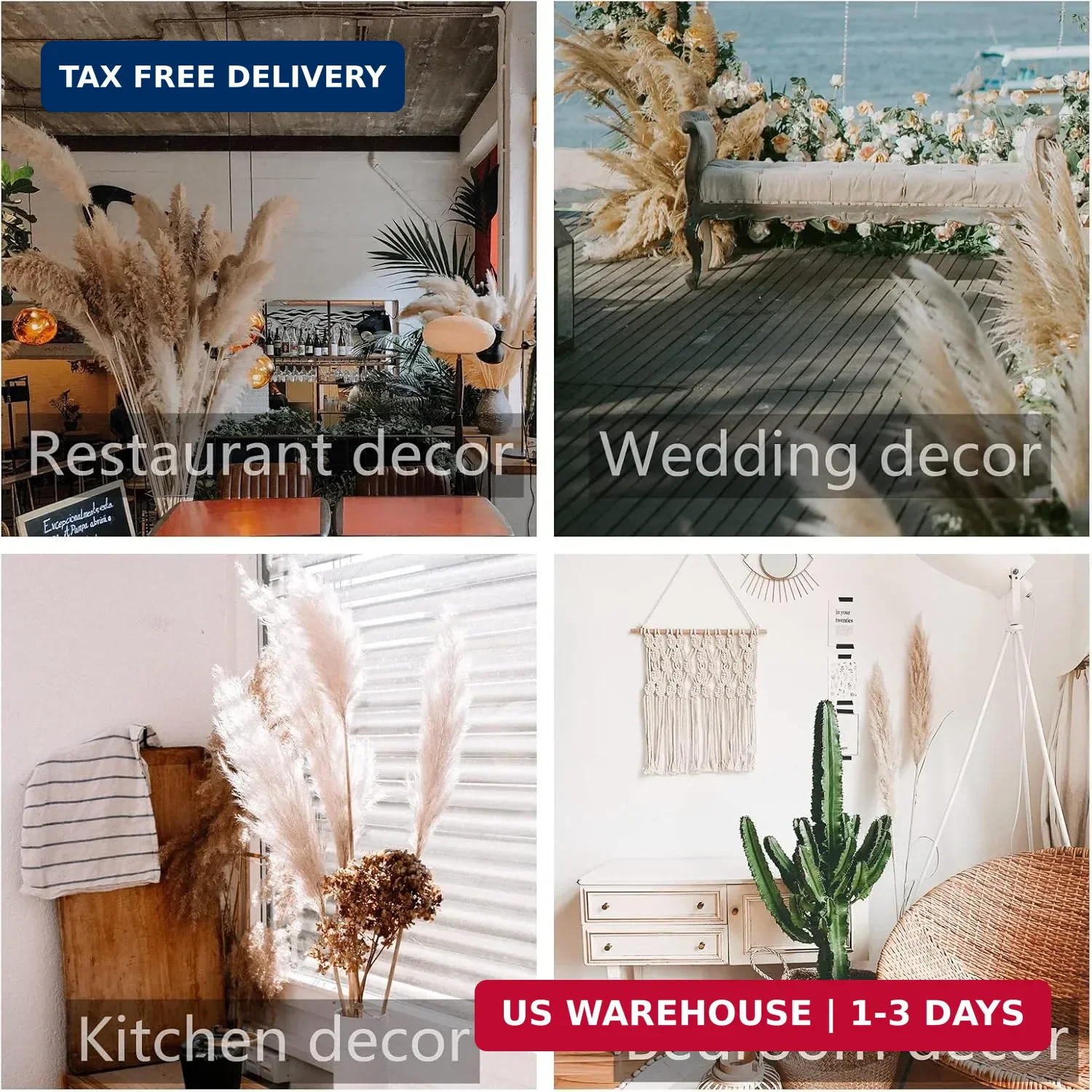 40″ inch 10 Stems Natural Pampas Grass Decor Tall, pompas Grass, Tall Pampas Gra
