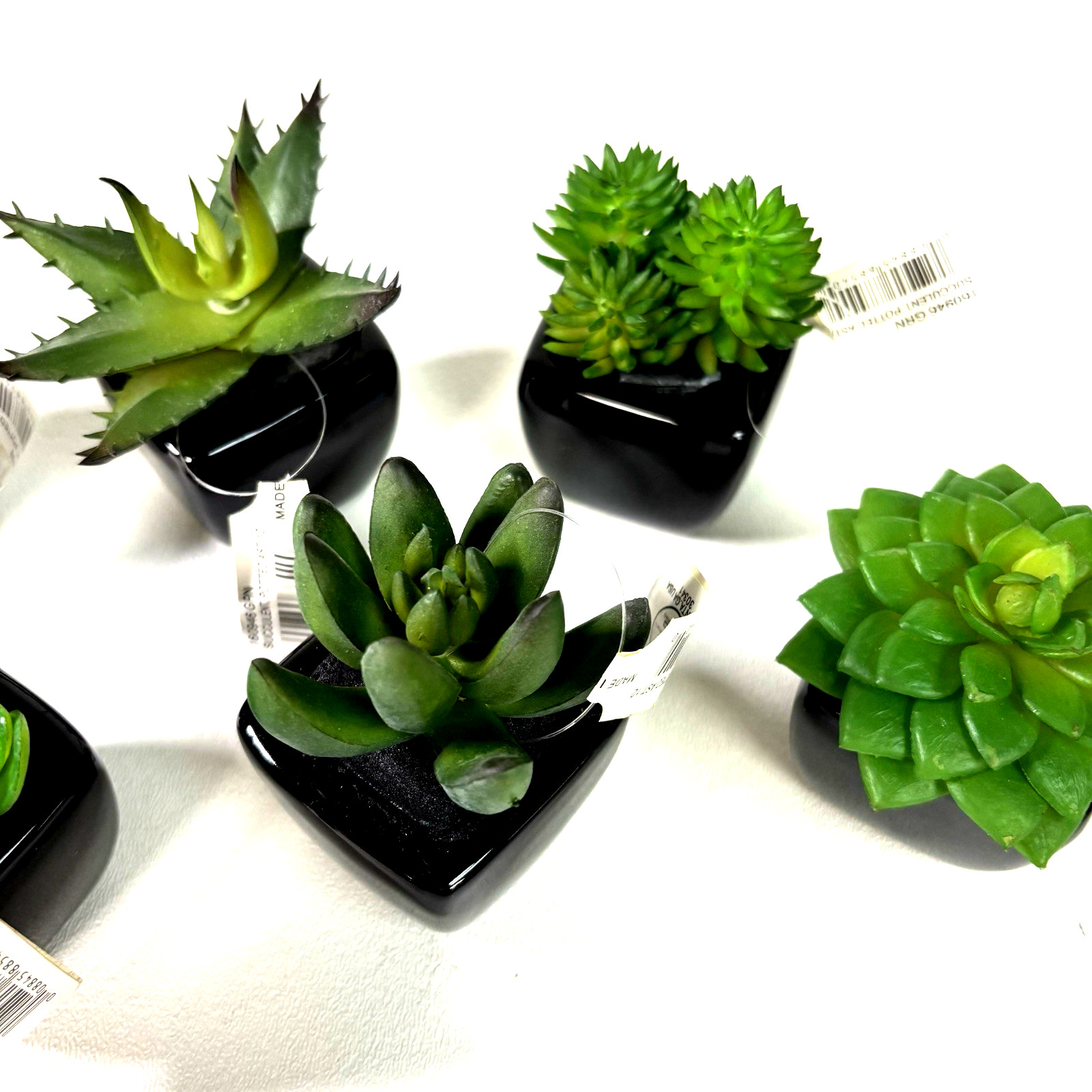 Set of 6 Artificial Mini Succulents in Black Ceramic Pots New With Tags