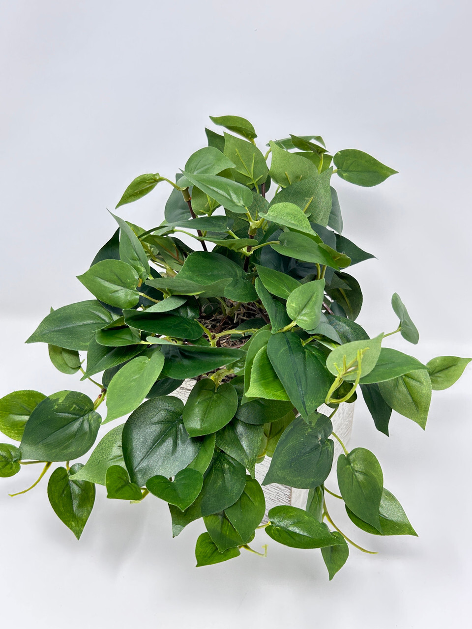 9″ MED Potted faux Green Pothos Vine Silk plant in White wood box – Home Decor