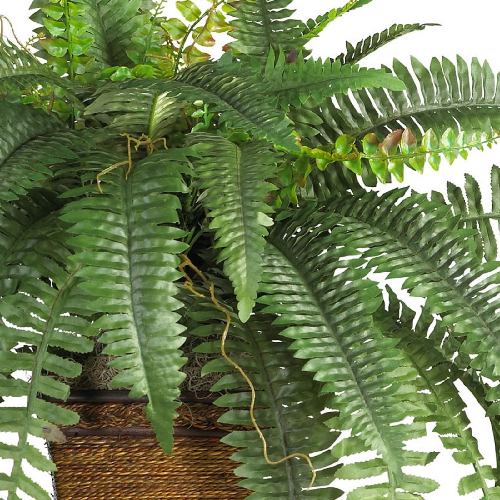 Lifelike Boston Fern in Wicker Basket – Realistic Artificial Plant Decor
