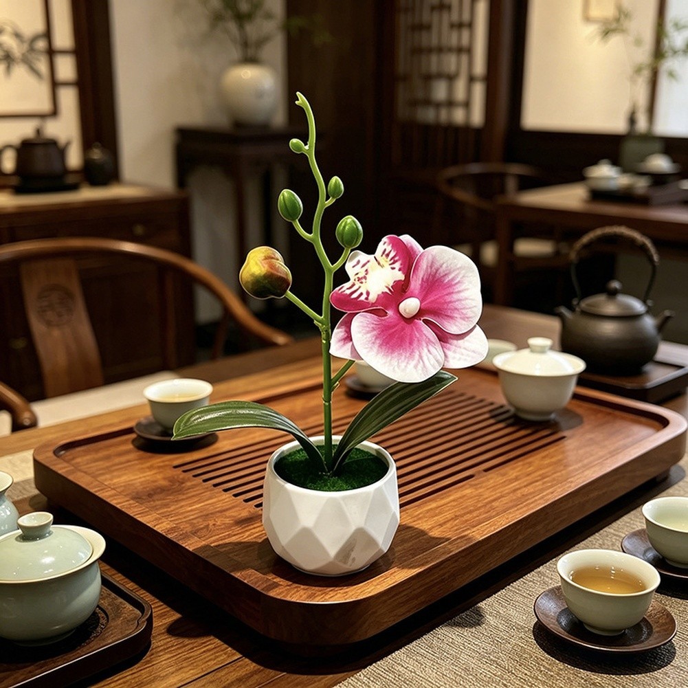 Phalaenopsis Floral Reproduction in Diamond Designed Pot for Contemporary Space