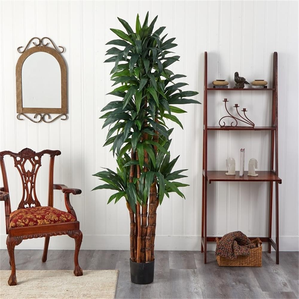Pemberly Row 78″ Dracaena Tree with 8-Trunks & Over 200 Leaves in Green/Black