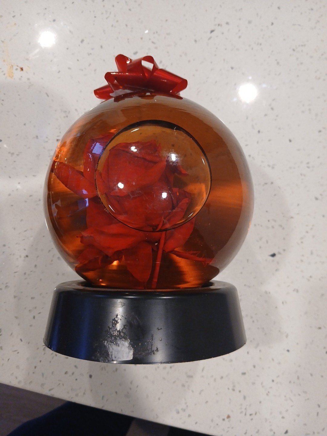 Forever Pink ROSE In Glass Ball Water Dome Globe Large Real Rose 6×6 in.