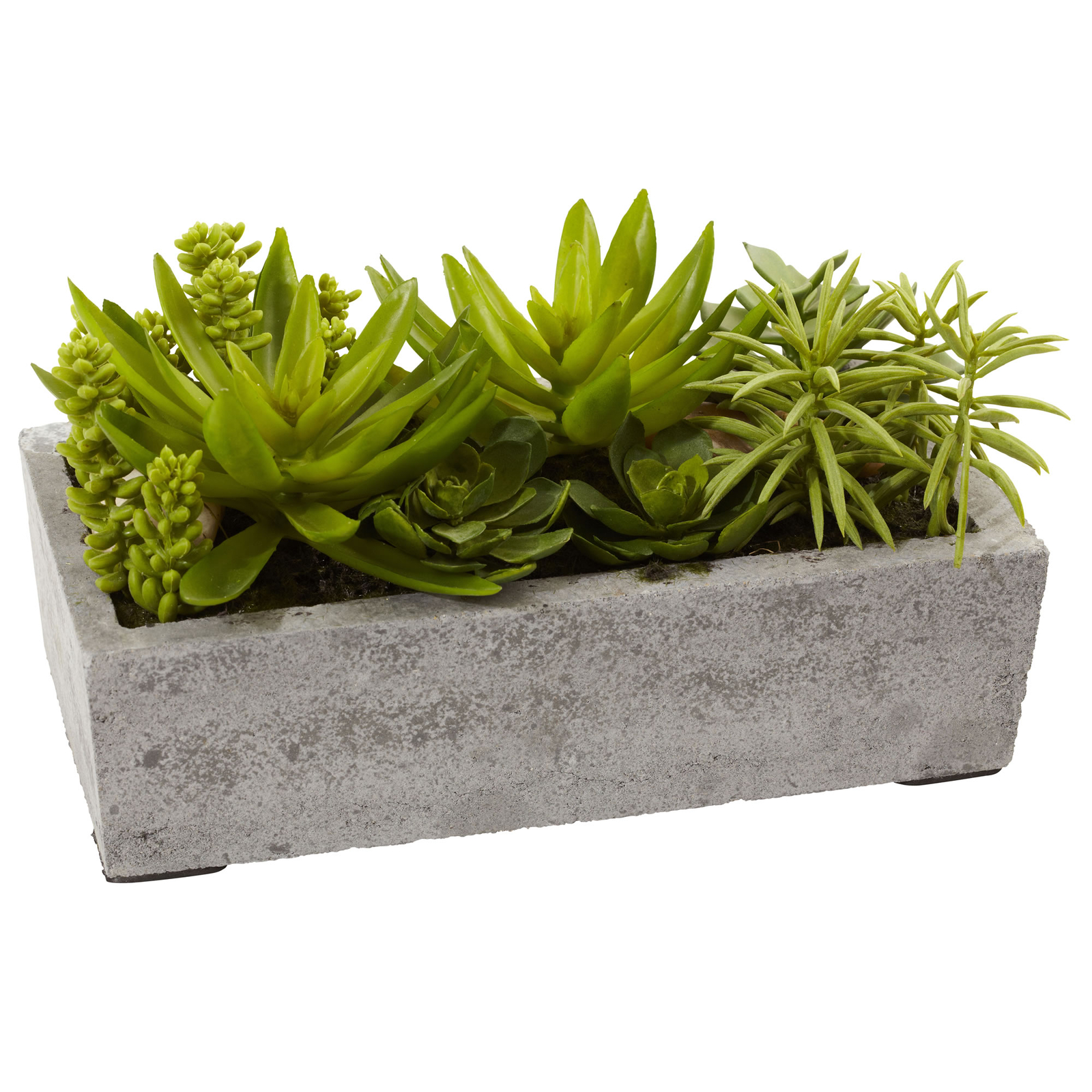 Succulent Garden Decorative Cement Concrete Planter Nearly Natural Home 6.5 inch