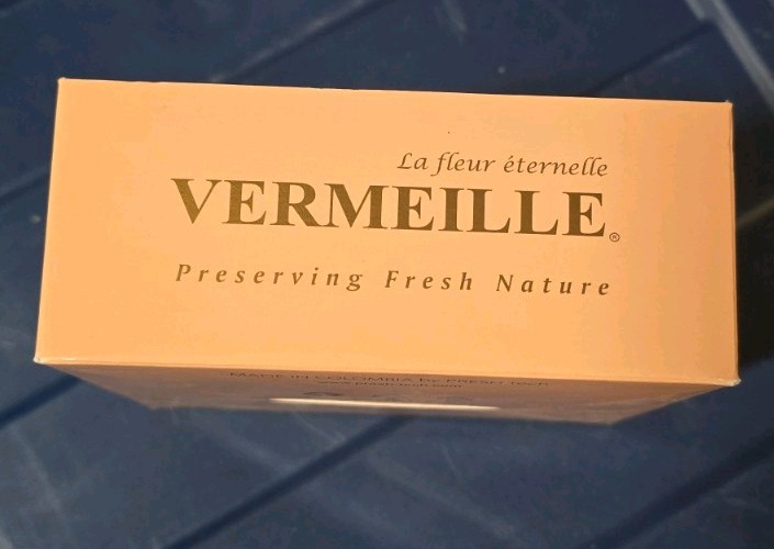 Vermeille Ava x16 Ivory Preserved Roses Mini Flowers Box Decor