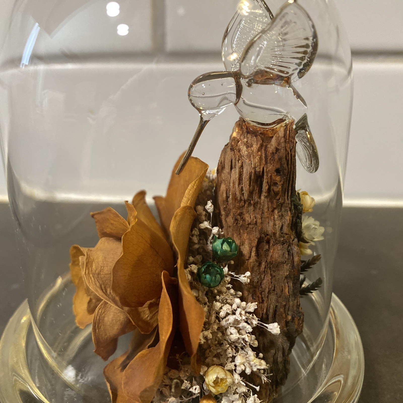 Colorado Naturals Dried Rose Floral Glass Dome Display with Glass Humming Bird