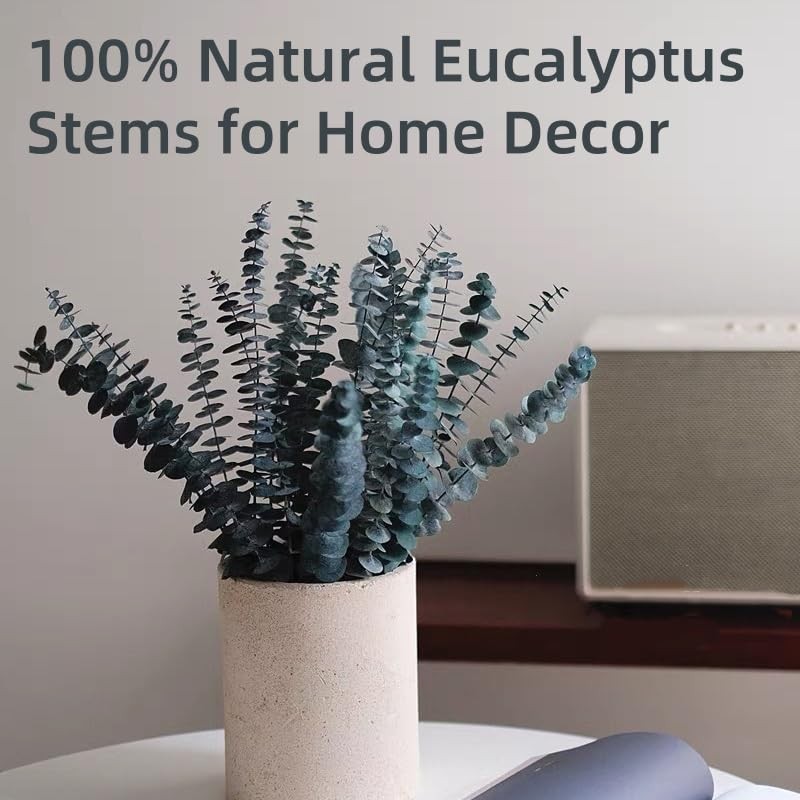 20 PCS Blue Preserved Eucalyptus Stems, 17″ Natural Dried Eucalyptus Branches…