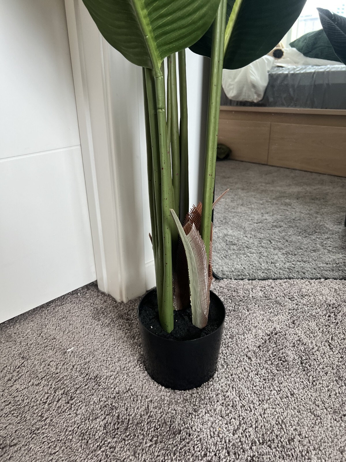 Set of 2 Fake Plants 5 Feet Tall Artificial Fern Trees Bird of Paradise NEW!