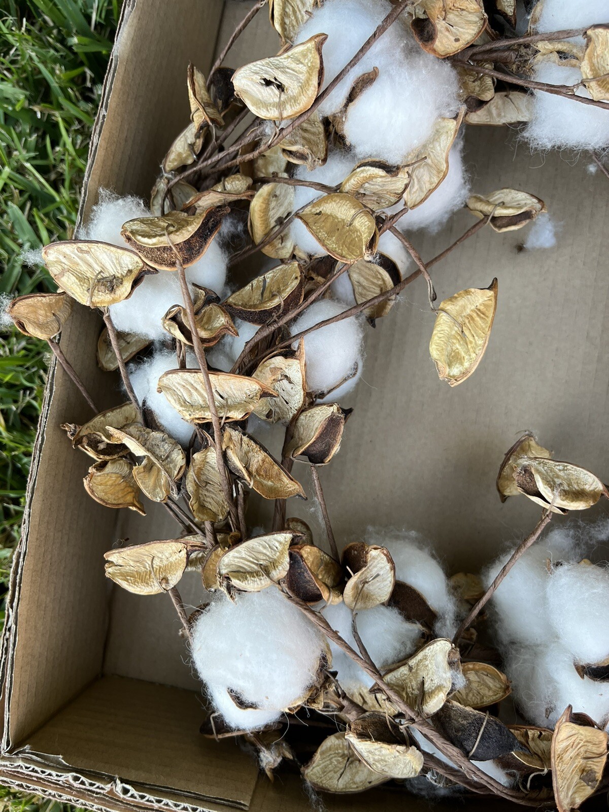 Fall Cotton Stems Wreath 14” New In box