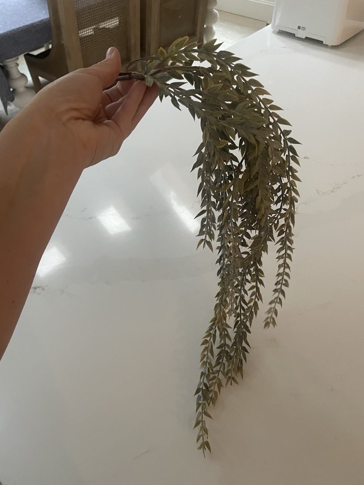 24 Inch Faux Trailing Plant Plastic Rustic Farmhouse