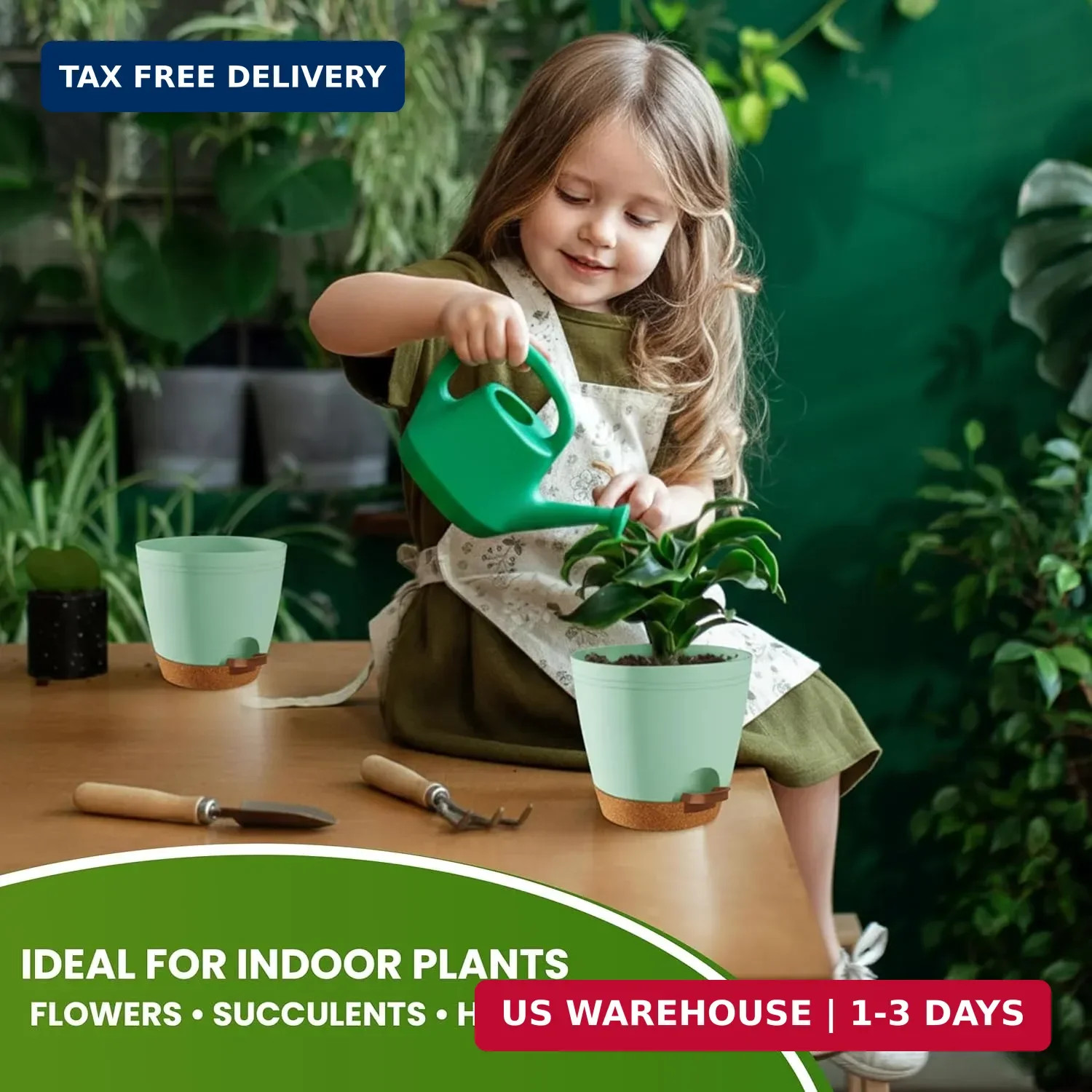 Self Watering Pots for Indoor Plants, Planters for Indoor Plants, Multi-Size …