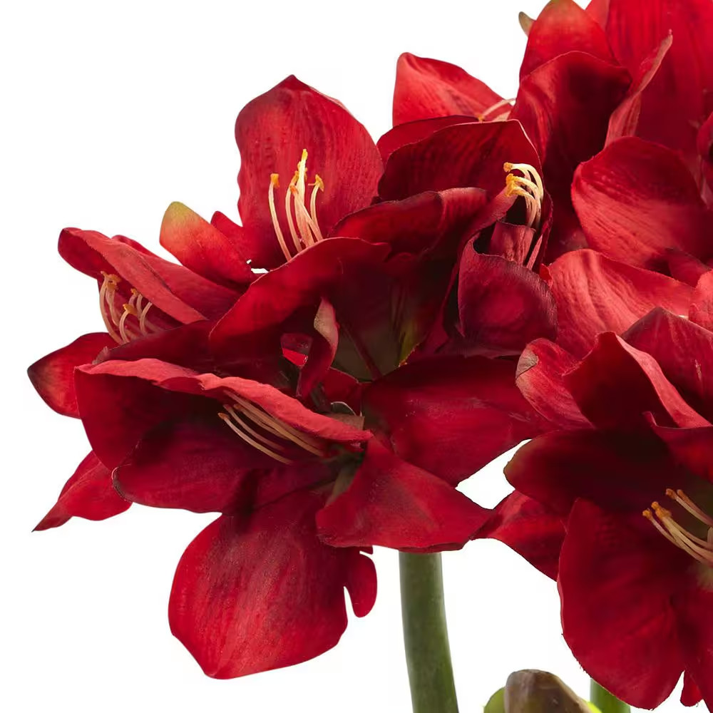 26 In. Artificial Amaryllis Arrangement with Vase