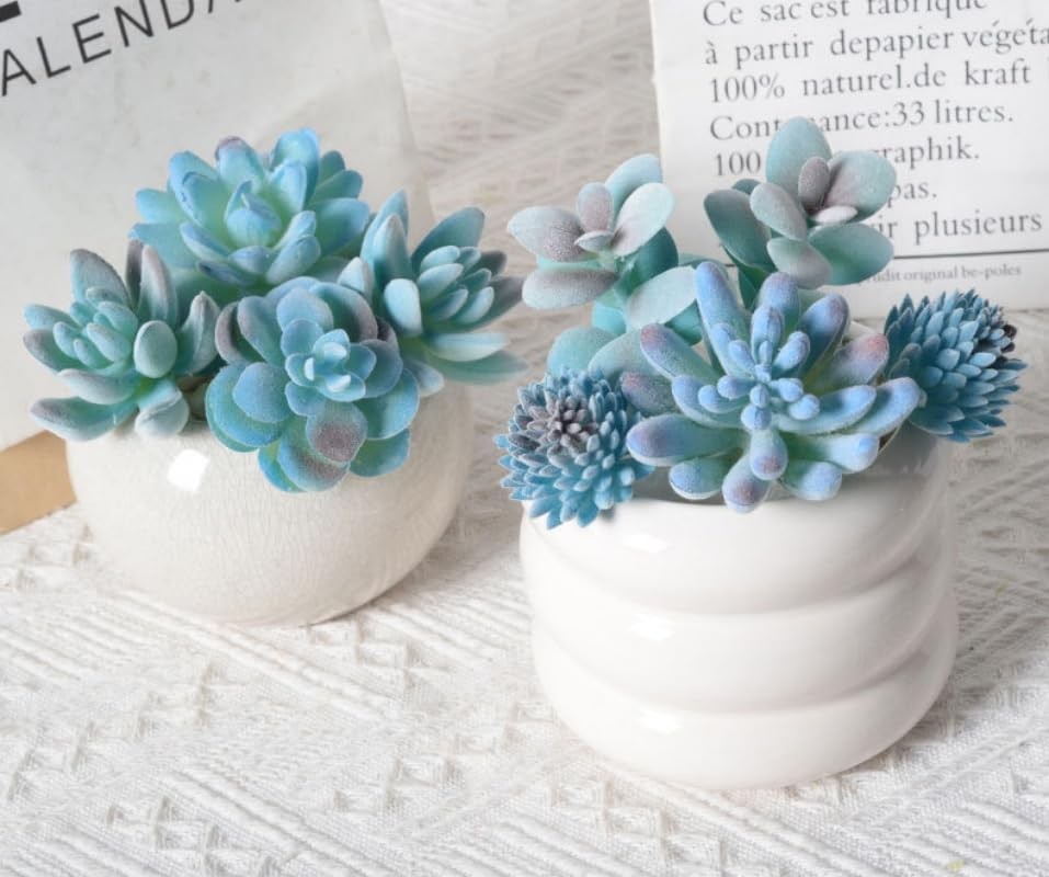 Pieces Fake Succulent Plant,Mini Artificial Succulents,Artificial Air 10 Blue