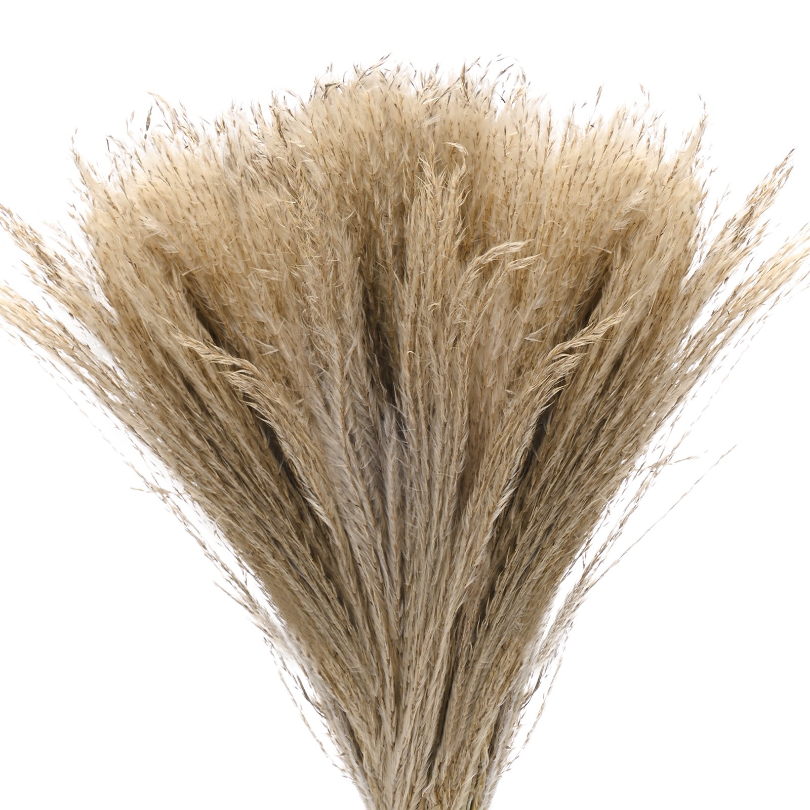 100-Pack Faux Pampas Grass 16 Inch for Home Decor/Wedding [Natural]