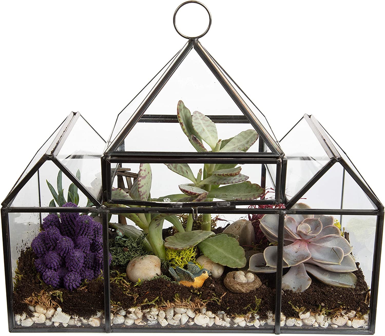 Deco Glass Geometric Castle Terrarium (25 x 12 x 21 cm) – Succulent & Air Plant