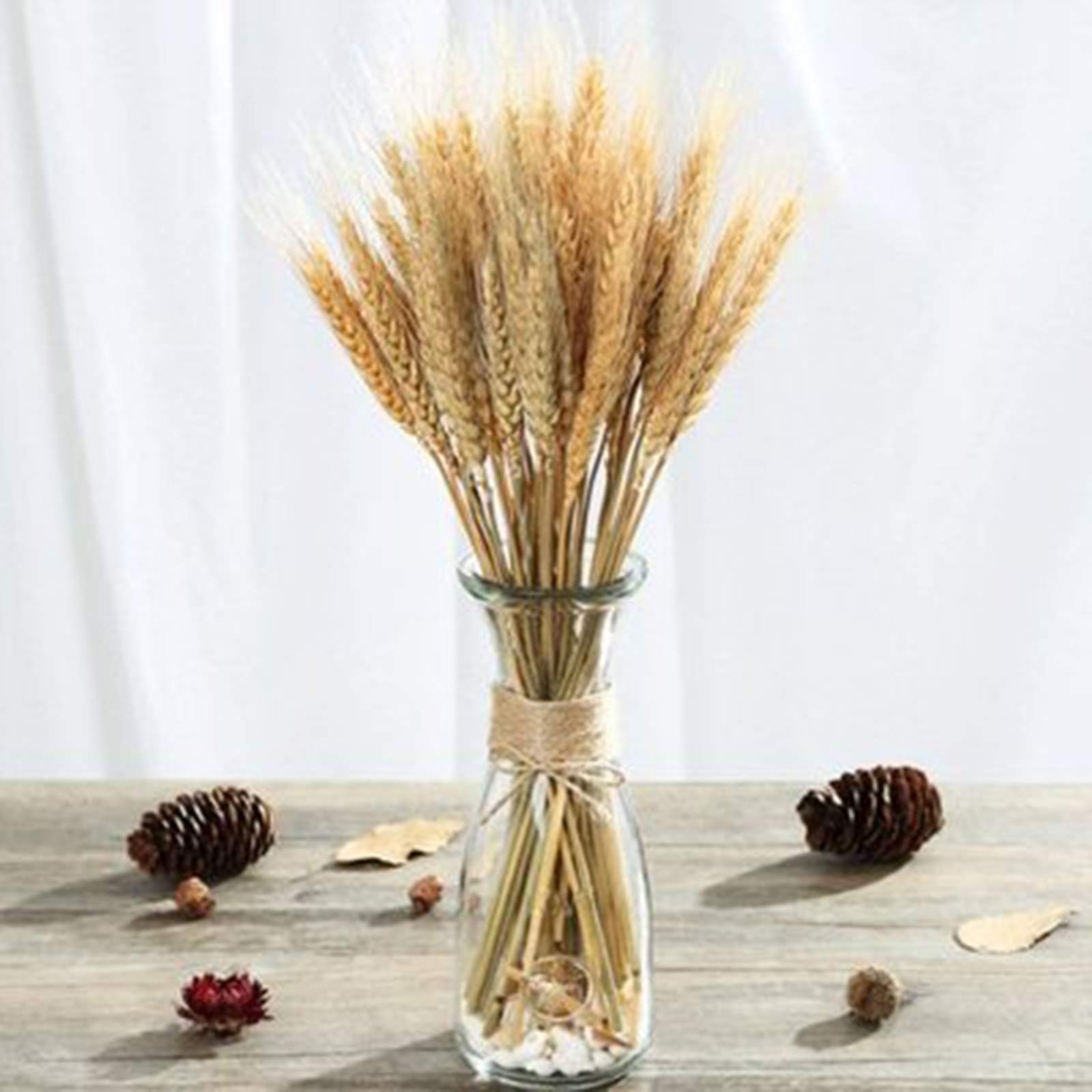 300 Stems Dried Wheat Stalks, 16 Inch Natural Wheat Sheaves Fall Arrangement …