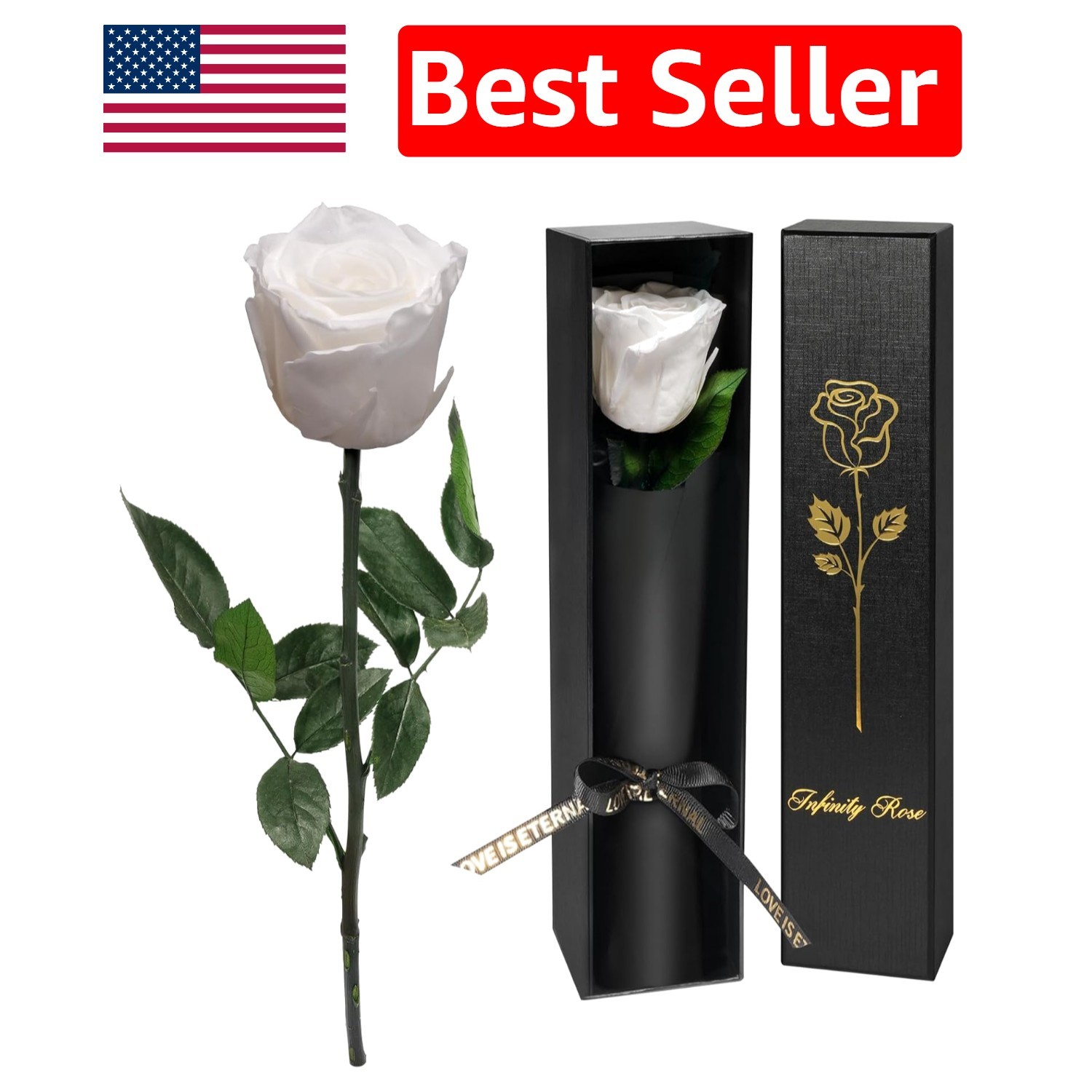 Single Elegant Preserved Rose – Timeless Gift for Her Birthday or Mother’s Day