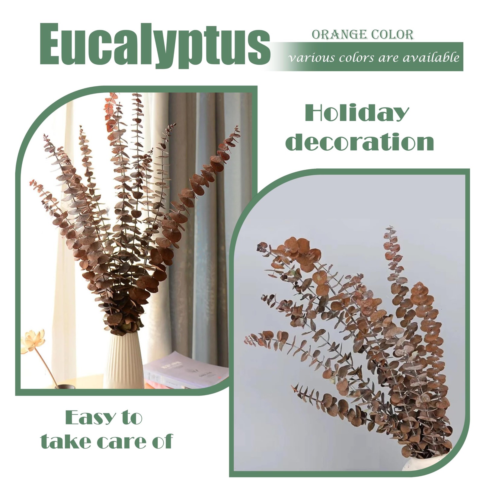 20pcs Driedeucalyptusstemsred Fall Decorations For Home Real Long Eucalyptus E