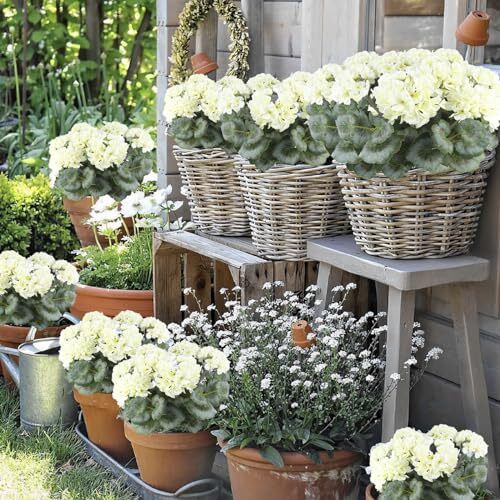 Artificial Geraniums Flowers for Outdoors Silk Geraniums Bushes UV Resistant …
