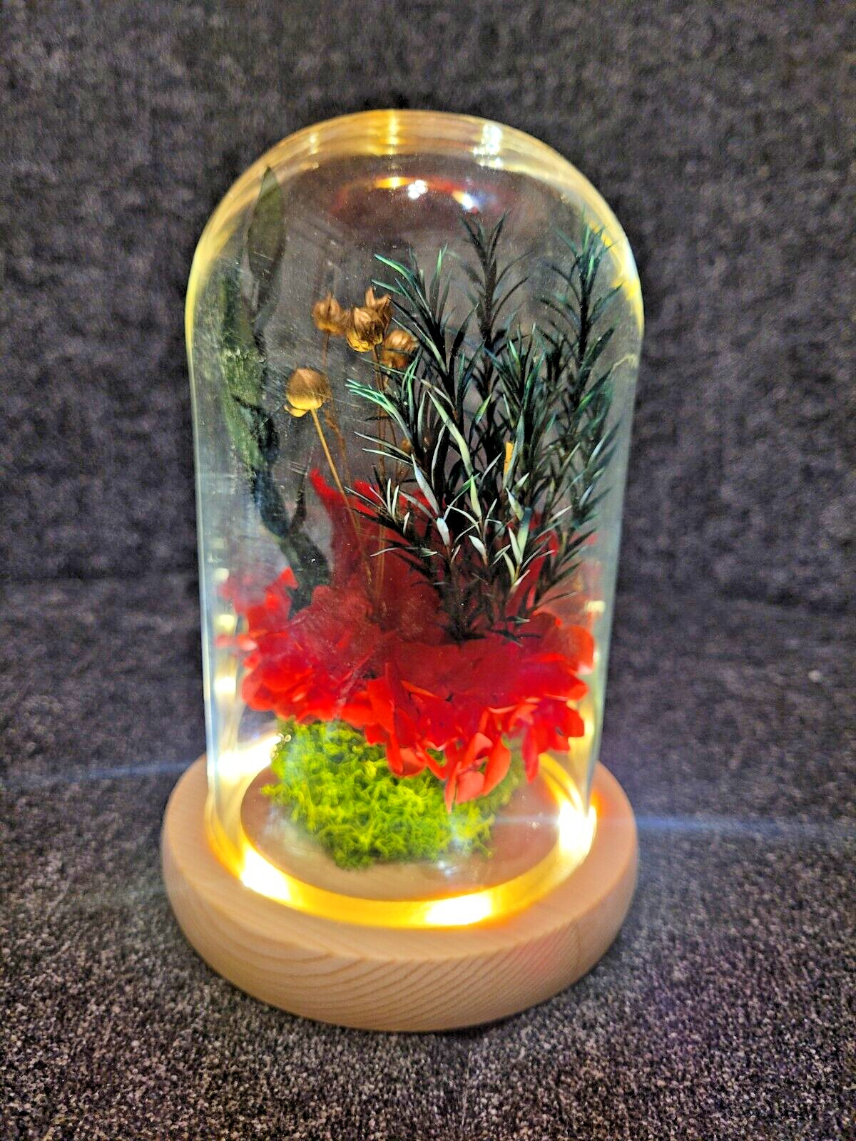 Flower Decoration Glass Cover Wooden Base Valentine’s Day Gift for Girlfriend’