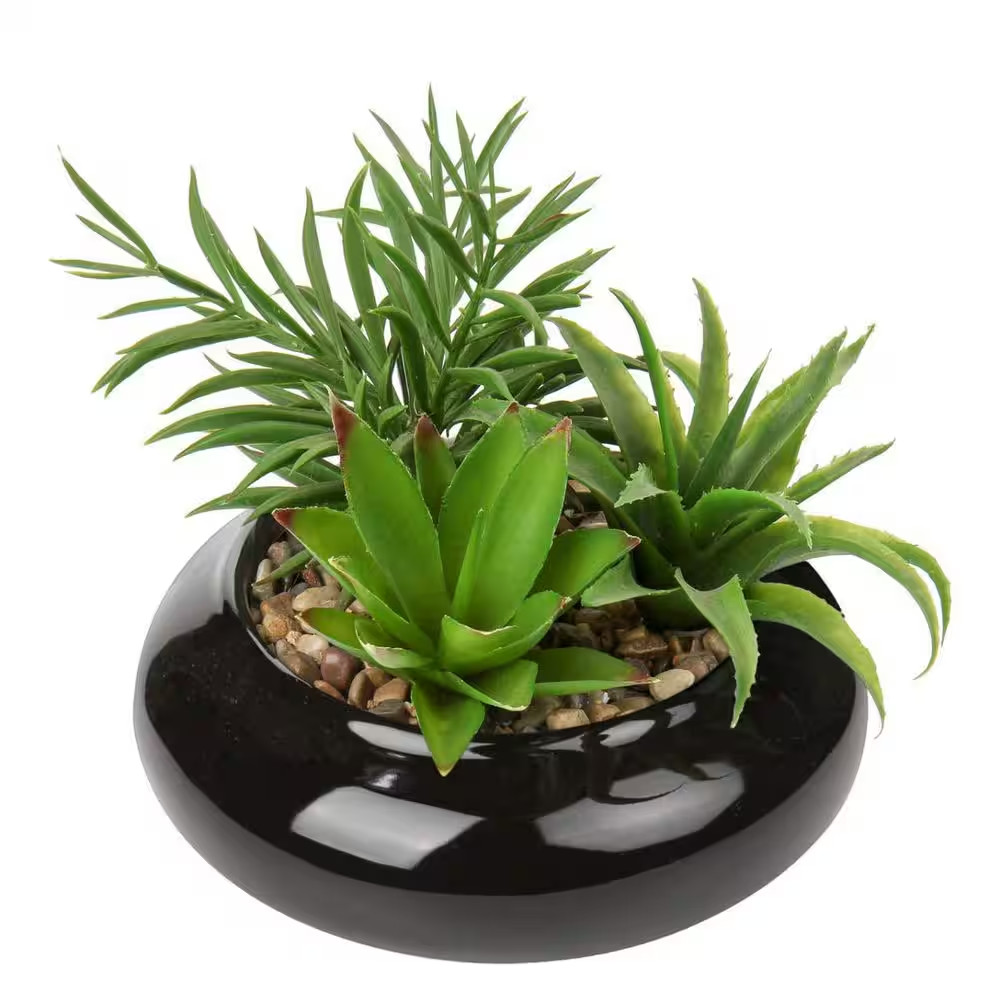 Potted Artificial Succulent Plant with Black Ceramic Pot