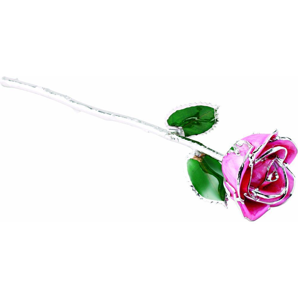 Platinum Trim Pink Lacquer Real Rose Valentine’s Day Holiday Gift