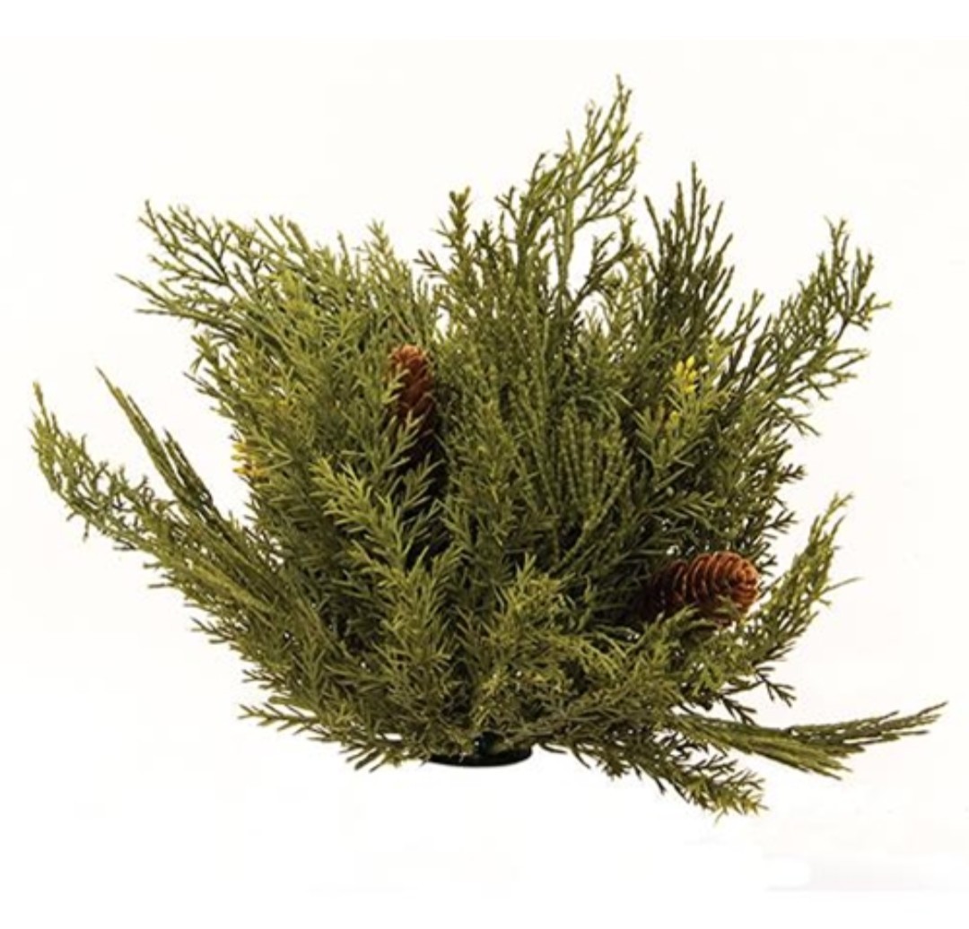 11″ Alpine Cedar Pine Half Sphere Floral Decor