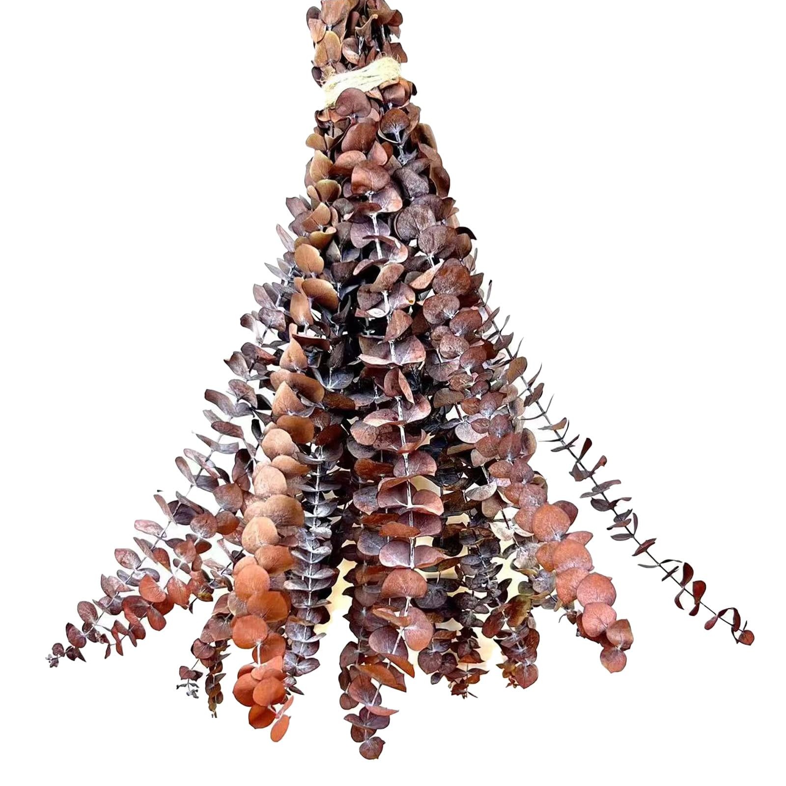 20pcs Driedeucalyptusstemsred Fall Decorations For Home Real Long Eucalyptus E