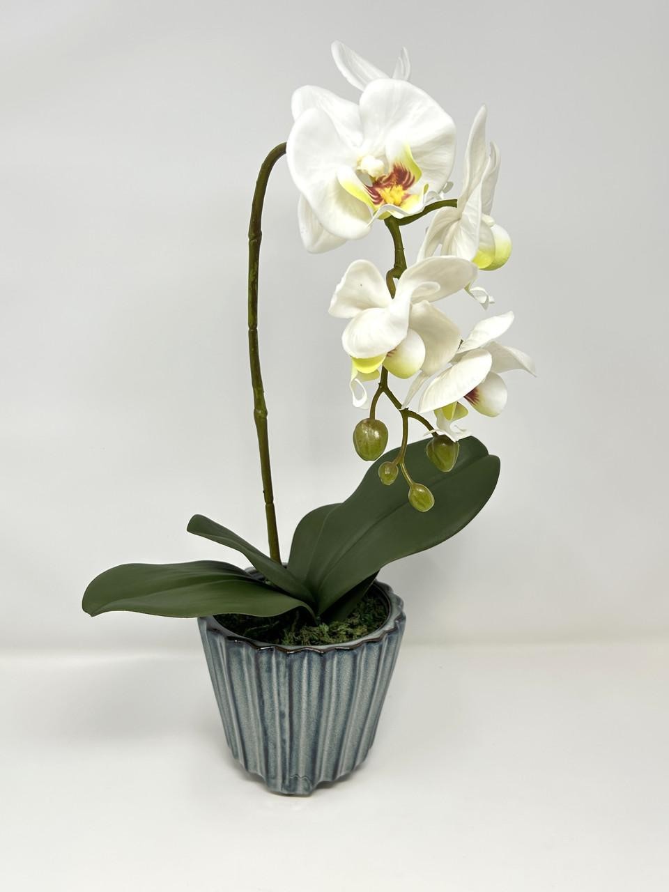 16″ Lg WHITE Phalaenopsis ORCHID silk flower planter, 4″ Blue ceramic footed pot