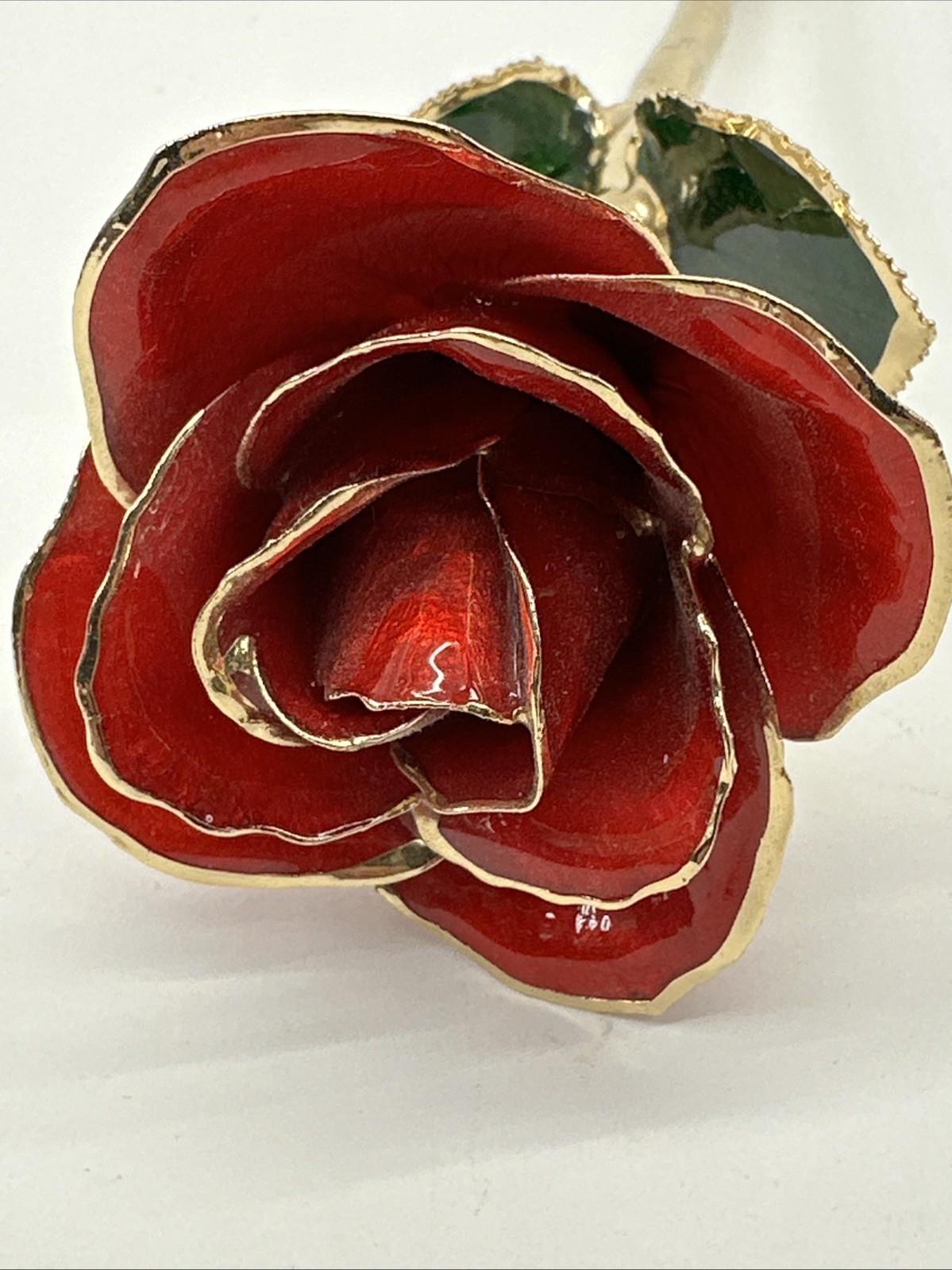 24k Gold Accent Roses Steven Singer Red & Gold & Golden Blooming Rose