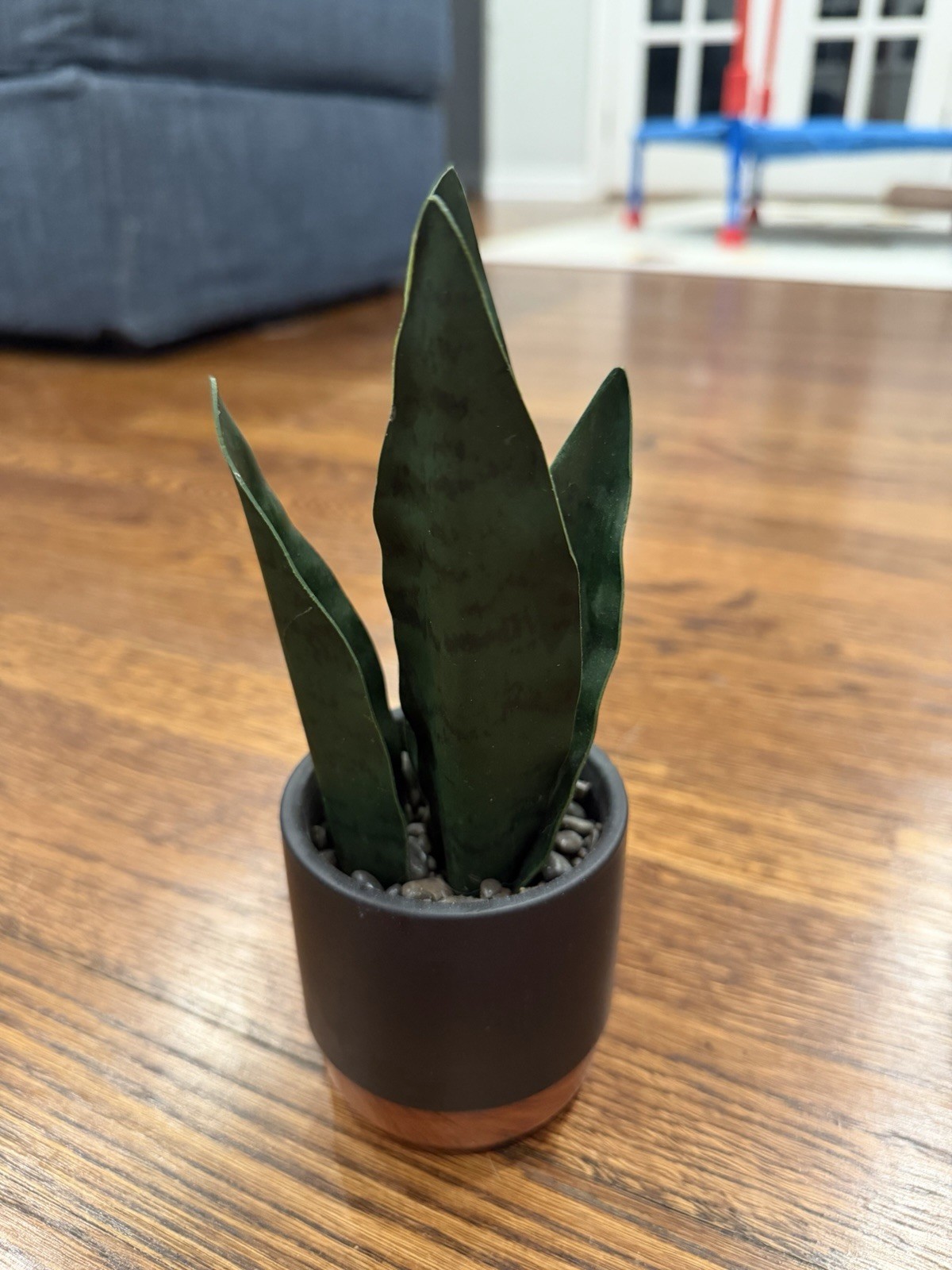 Artificial Snake Plant Houseplant in Black Pot w/ Wood Base, Pebbles, 8 in