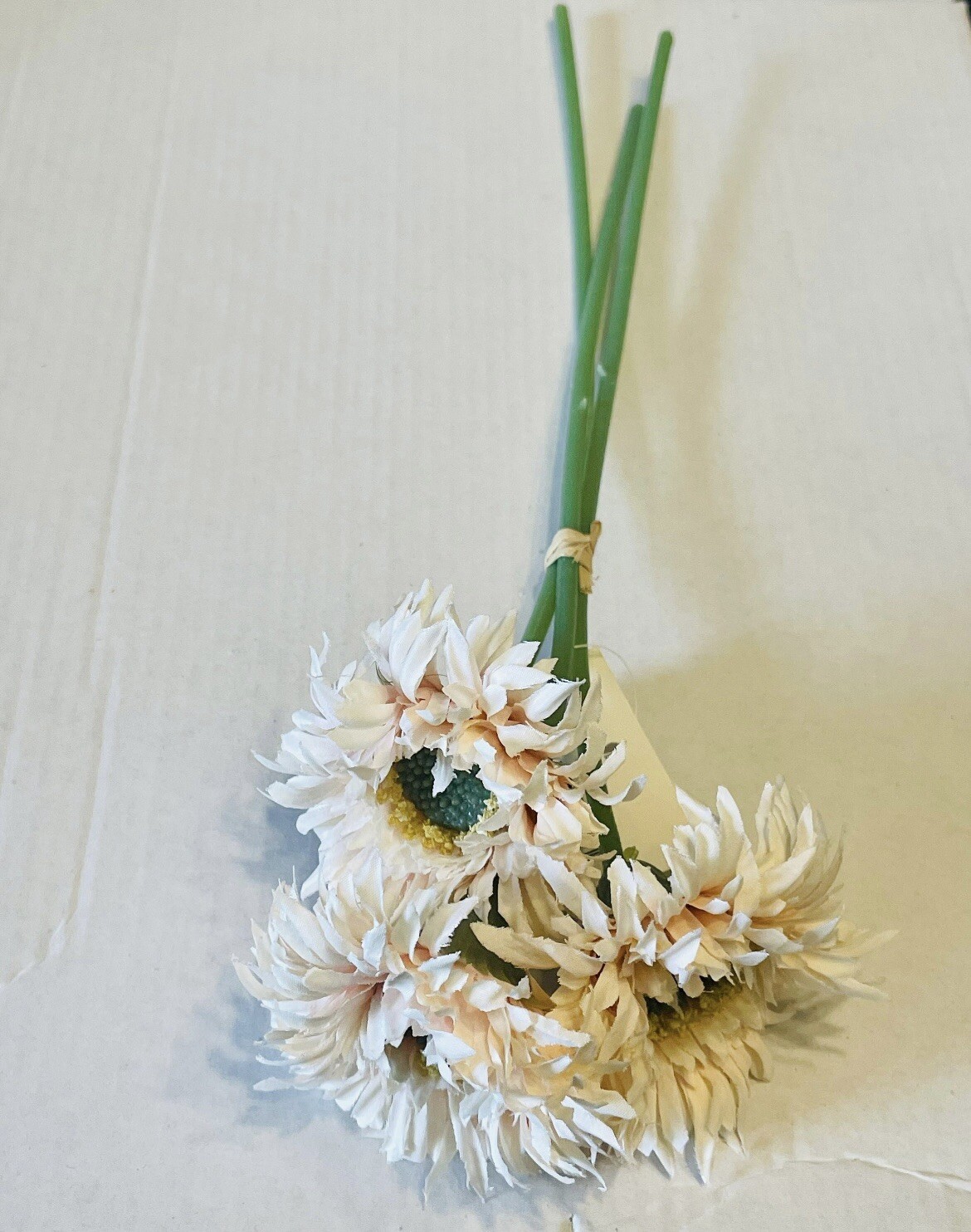 Triple Gerbera Daisy Bouquet, Cream Pink NEW
