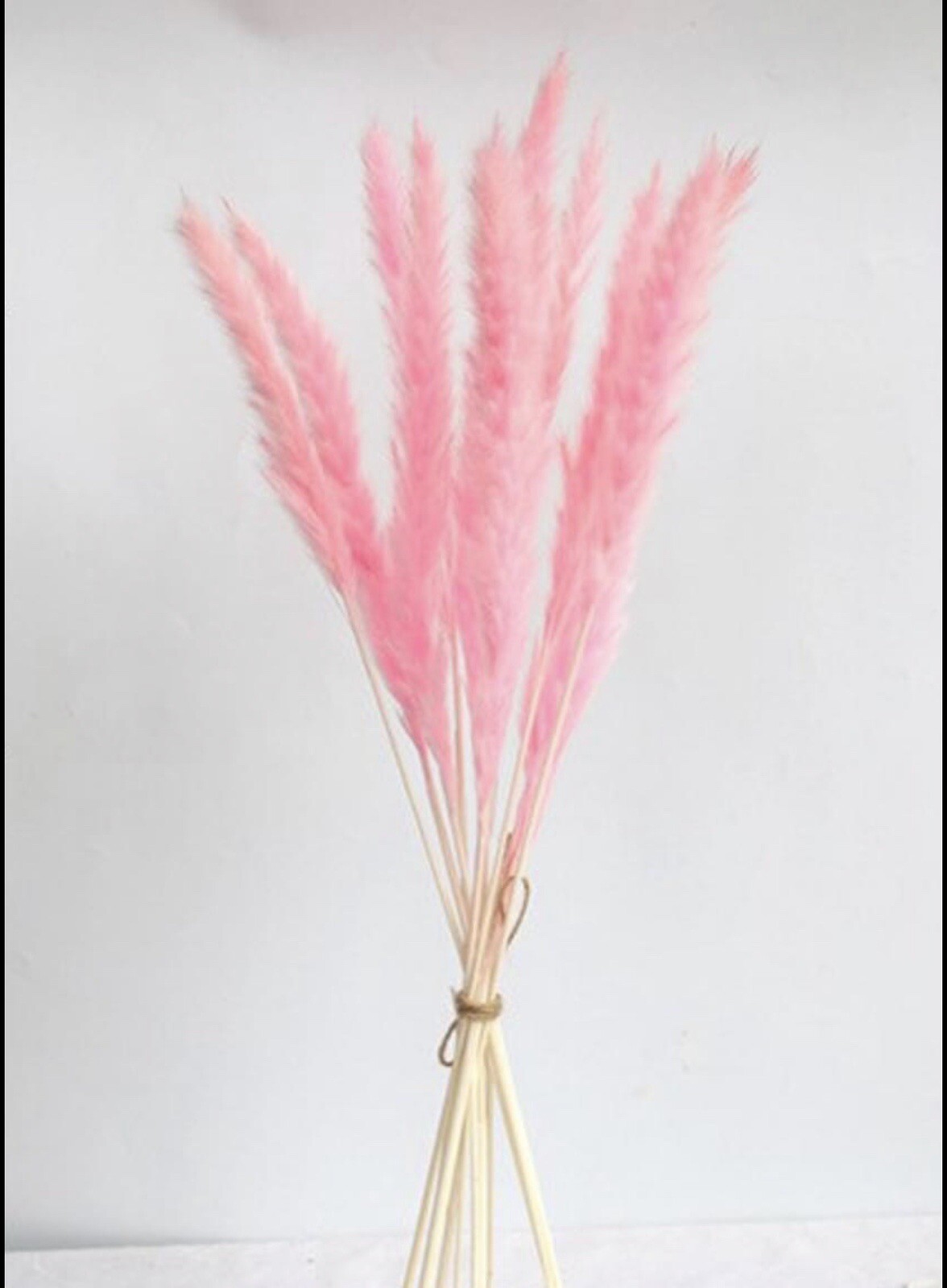 15PCS Natural Dried Pampas Grass 24 In. Reed Flower Wedding Bouquet Home Decors