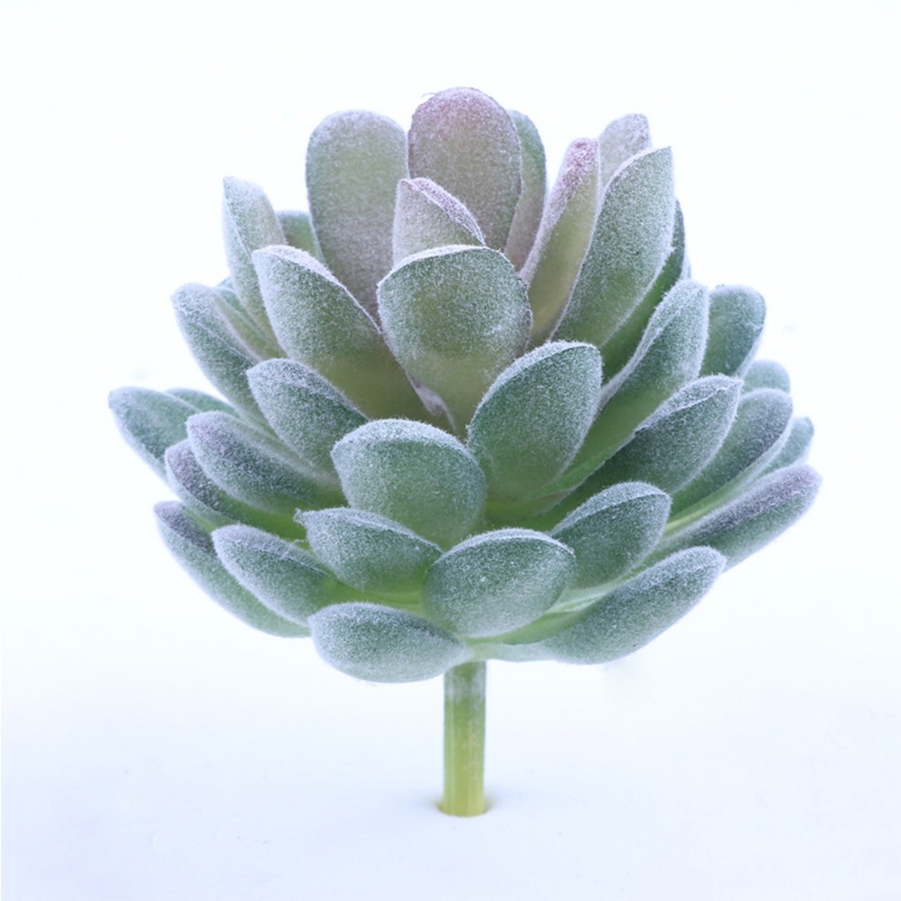 6Pcs Reusable Simulated Succulent Plants Assorted Color PVC for Home Decor